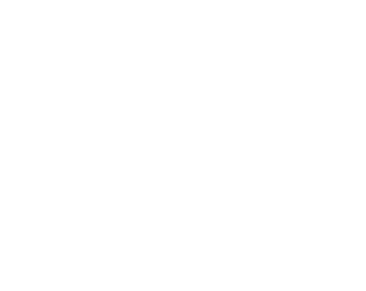 Sentinel Imports